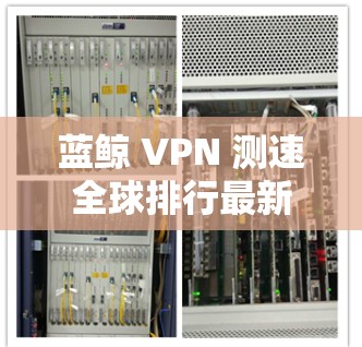 蓝鲸 VPN 测速全球排行最新动态，技术参数与服务表现详解
