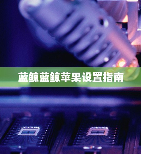 蓝鲸蓝鲸苹果设置指南 蓝鲸蓝鲸苹果设置指南