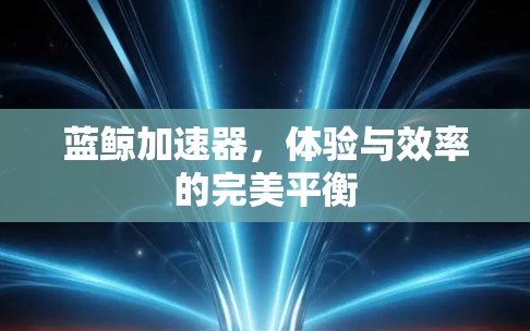 蓝鲸加速器，体验与效率的完美平衡