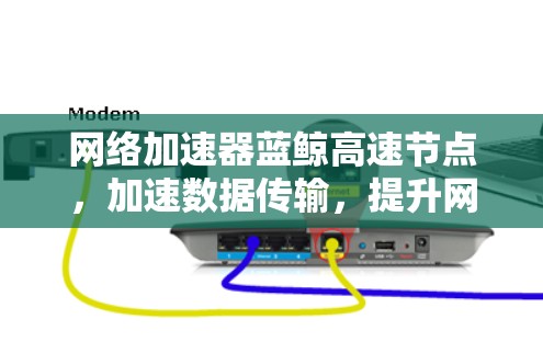 网络加速器蓝鲸高速节点，加速数据传输，提升网络效率