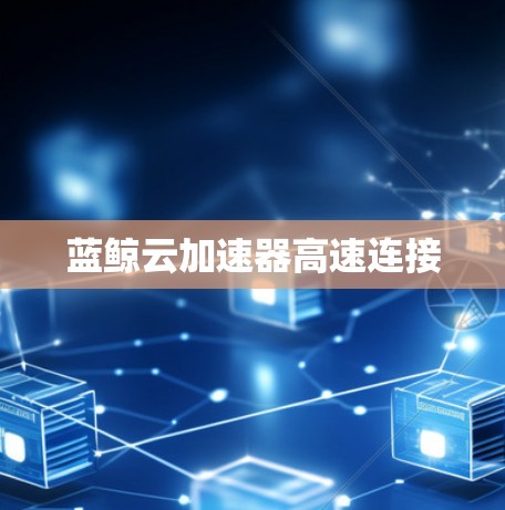 蓝鲸云加速器高速连接