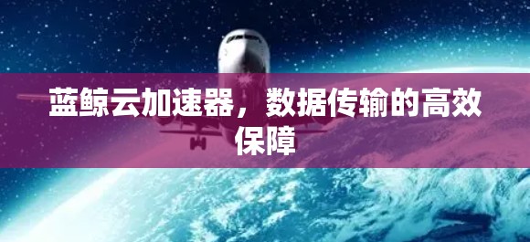 蓝鲸云加速器,数据传输的高效保障