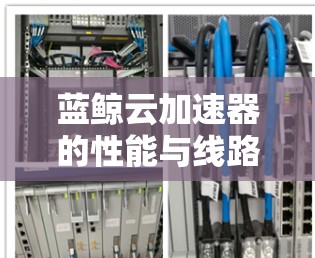 蓝鲸云加速器的性能与线路测试 蓝鲸云加速器的性能与线路测试