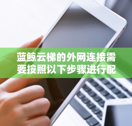 蓝鲸云梯的外网连接需要按照以下步骤进行配置,以确保数据安全和顺利传输 蓝鲸云梯的外网连接需要按照以下步骤进行配置,以确保数据安全和顺利传输