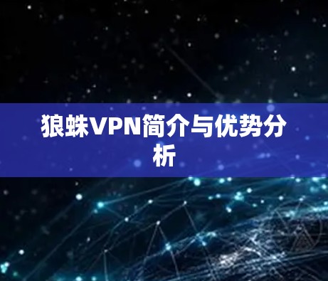 狼蛛VPN简介与优势分析