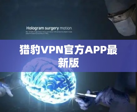 猎豹VPN官方APP最新版