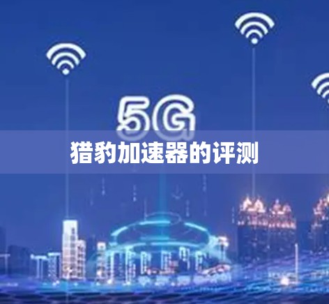 猎豹加速器的评测