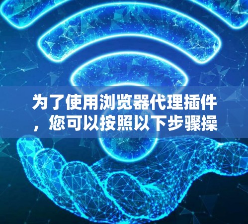 为了使用浏览器代理插件,您可以按照以下步骤操作