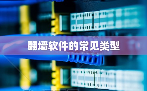 <strong>翻墙</strong>软件的常见类型