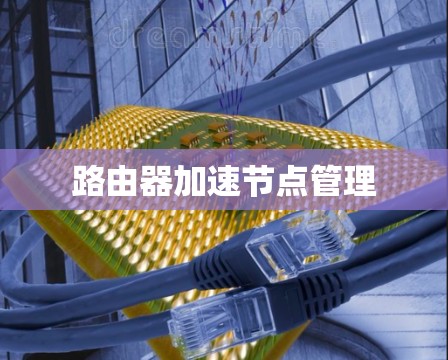 路由器加速节点管理 路由器加速节点管理