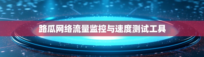 路瓜网络流量监控与速度测试工具