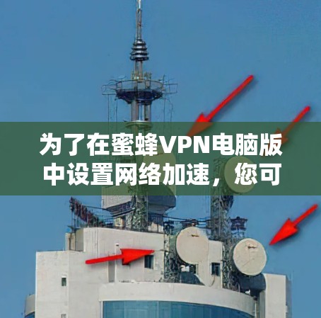 为了在蜜蜂VPN电脑版中设置网络加速，您可以按照以下步骤操作