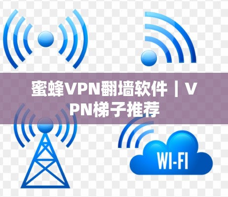 蜜蜂VPN<strong>翻墙</strong>软件|VPN梯子推荐