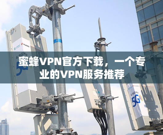 蜜蜂VPN官方下载,一个专业的VPN服务推荐 蜜蜂VPN官方下载,一个专业的VPN服务推荐