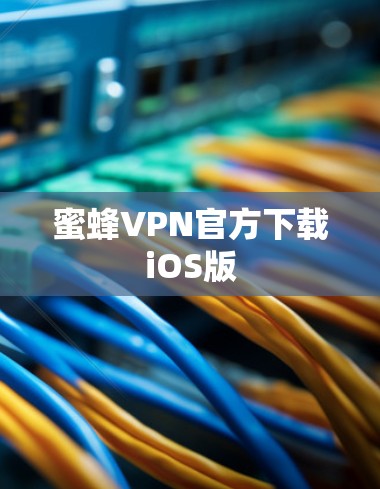 蜜蜂VPN官方下载iOS版