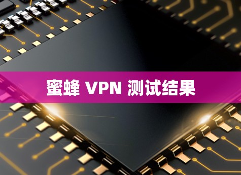 蜜蜂 VPN 测试结果 蜜蜂 VPN 测试结果