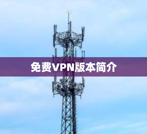 免费VPN版本简介 免费VPN版本简介