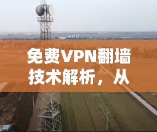 免费VPN<strong>翻墙</strong>技术解析,从安全到实用性