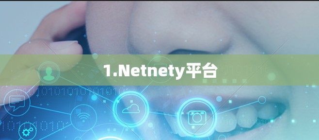 1.Netnety平台