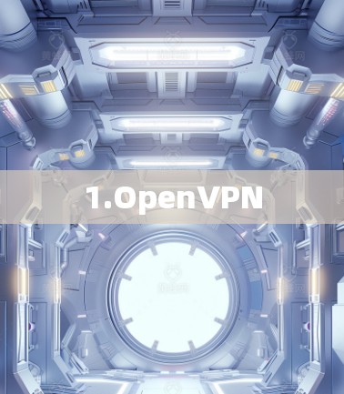 1.OpenVPN