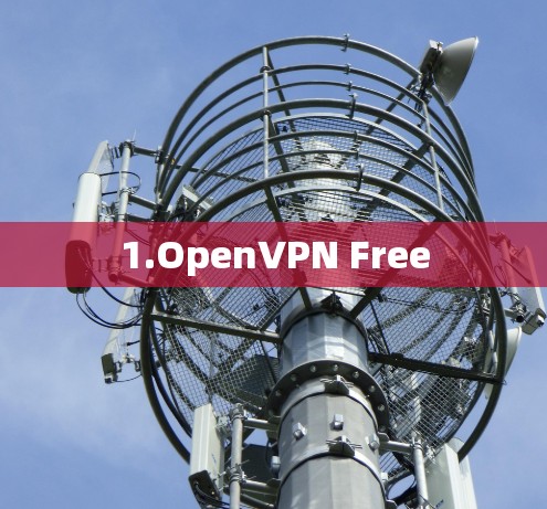 1.OpenVPN Free 1.OpenVPN Free