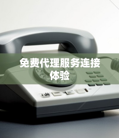 免费代理服务连接体验
