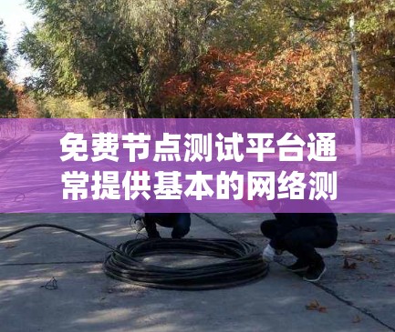 免费节点测试平台通常提供基本的网络测试功能,如流量测试、连接测试、防火墙测试等。以下是一些常见且免费的节点测试平台