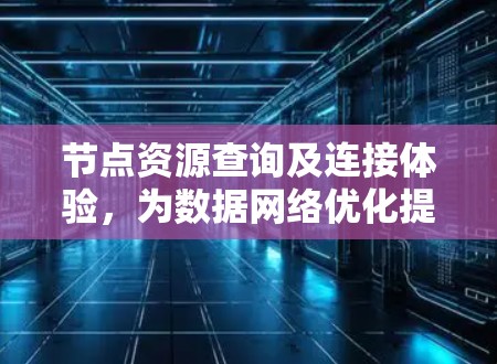 节点资源查询及连接体验，为数据网络优化提供安心保障