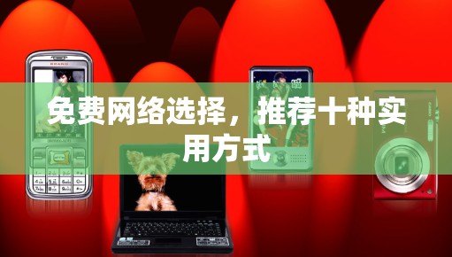 免费网络选择,推荐十种实用方式