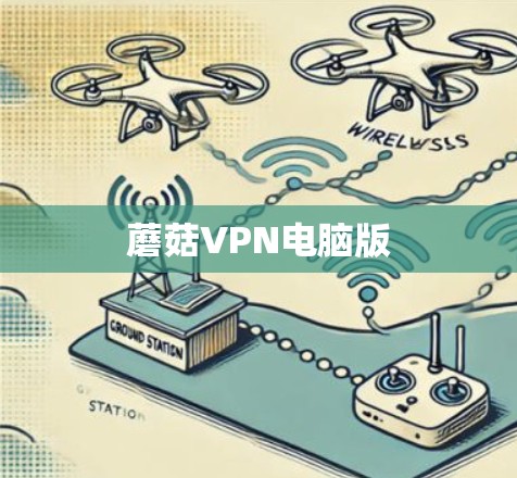 蘑菇VPN电脑版