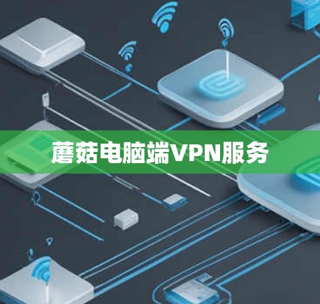 蘑菇电脑端VPN服务