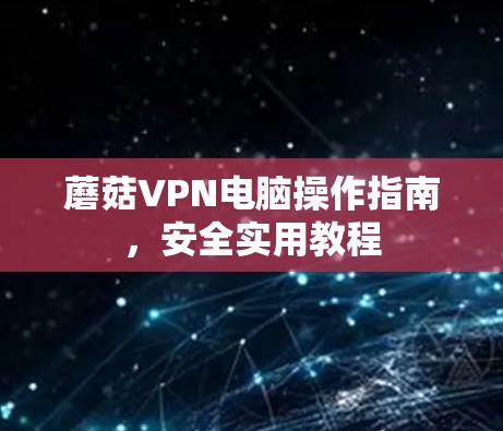 蘑菇VPN电脑操作指南，安全实用教程