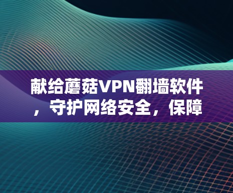 献给蘑菇VPN<strong>翻墙</strong>软件,守护网络安全,保障数据安全