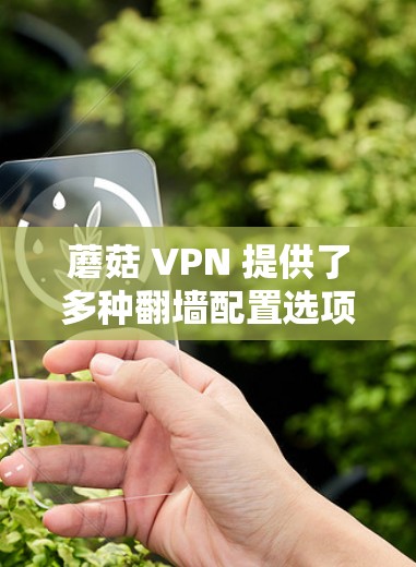 蘑菇 VPN 提供了多种<strong>翻墙</strong>配置选项,包括不限速、自动解包、多设备访问、实时追踪、日志管理等,满足用户不同需求。以下是一些蘑菇 VPN <strong>翻墙</strong>软件推荐