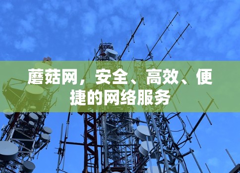 蘑菇网,安全、高效、便捷的网络服务 蘑菇网,安全、高效、便捷的网络服务