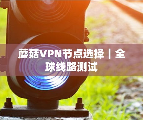 蘑菇VPN节点选择|全球线路测试 蘑菇VPN节点选择|全球线路测试