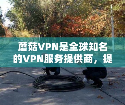蘑菇VPN是全球知名的VPN服务提供商,提供多种VPN客户端,供用户下载使用。以下是蘑菇VPN常用的几个客户端 蘑菇VPN是全球知名的VPN服务提供商,提供多种VPN客户端,供用户下载使用。以下是蘑菇VPN常用的几个客户端