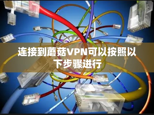 连接到蘑菇VPN可以按照以下步骤进行