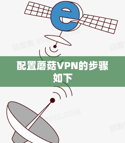 配置蘑菇VPN的步骤如下 配置蘑菇VPN的步骤如下