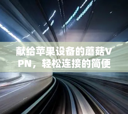 献给苹果设备的蘑菇VPN，轻松连接的简便指南