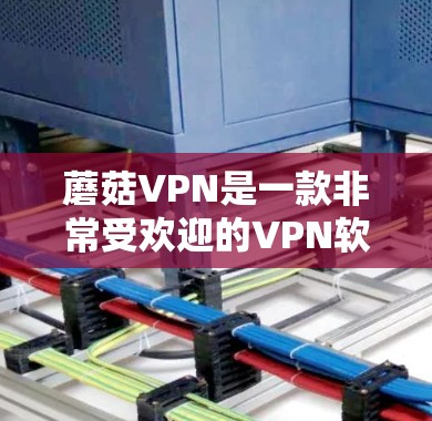 蘑菇VPN是一款非常受欢迎的VPN软件,以其简单易用的用户界面、多语言支持以及丰富的协议选择而闻名。以下是蘑菇VPN的评测 蘑菇VPN是一款非常受欢迎的VPN软件,以其简单易用的用户界面、多语言支持以及丰富的协议选择而闻名。以下是蘑菇VPN的评测
