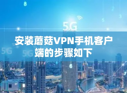 安装蘑菇VPN手机客户端的步骤如下 安装蘑菇VPN手机客户端的步骤如下