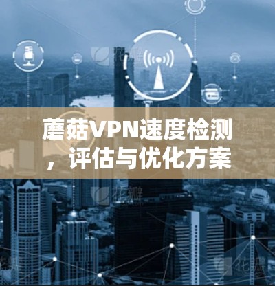 蘑菇VPN速度检测，评估与优化方案
