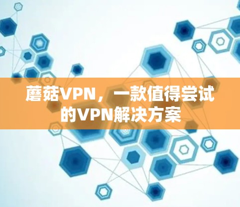 蘑菇VPN，一款值得尝试的VPN解决方案
