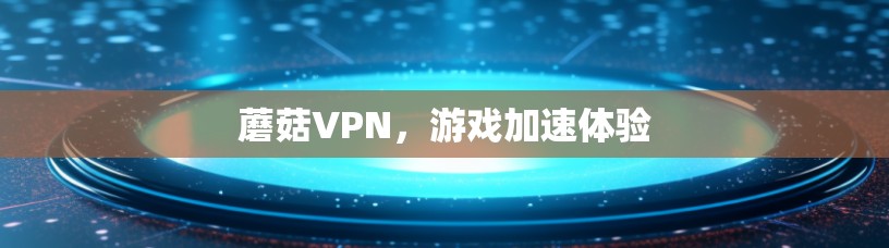 蘑菇VPN，游戏加速体验