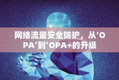 网络流量安全防护,从‘OPA’到‘OPA+的升级 网络流量安全防护,从‘OPA’到‘OPA+的升级