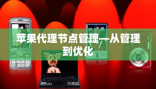 苹果代理节点管理—从管理到优化