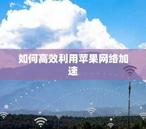 如何高效利用苹果网络加速