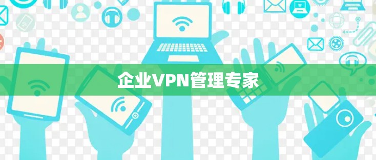 企业VPN管理专家