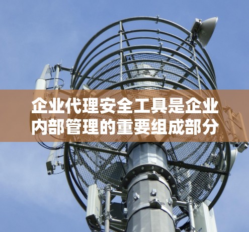 企业代理安全工具是企业内部管理的重要组成部分,通过集中管理和自动化维护,可以提高企业的安全性。以下是对企业代理安全工具的详细分析和实施步骤